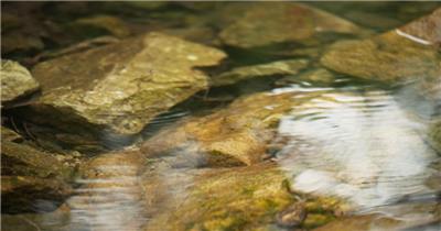 秋天清晨森林泉水清澈小溪