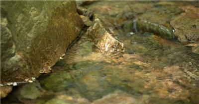 夏天山上湍急泉水清澈溪流