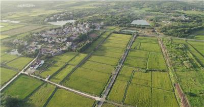 航拍农村沥青柏油路水稻田野