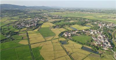 秋天安徽平原丘陵农村田野航拍