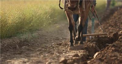 农田耕地特写视频