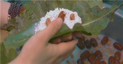 粽子包粽子特写糯米食品节日食品