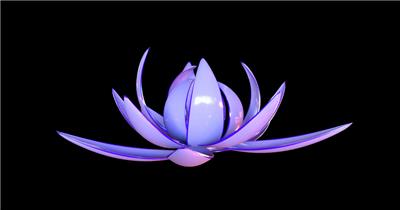 三维花开花瓣盛开花开旋转视频素材