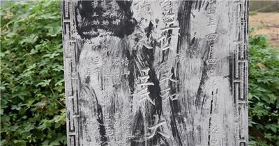 石碑 农村墓地 田地 小草 4K 超清 视频