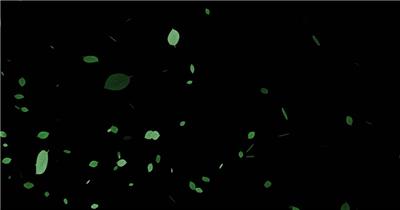 4K绿叶飘落【原创带alpha通道】