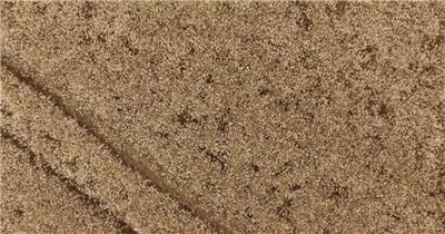 航拍小麦成熟粮食丰收视频