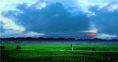 大自然美景种植基地延时实拍视频素材
