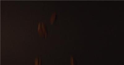 唯美震撼咖啡豆制作慢镜头