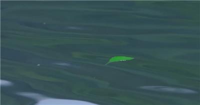 美丽山水风景雨中传统建筑