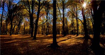 精品农业科技宣传类实用素材空镜头实拍素材