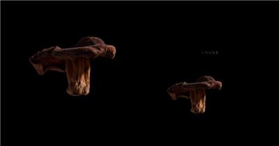 实拍特写菌菇蘑菇美味滋补菌菇汤制作视频素材