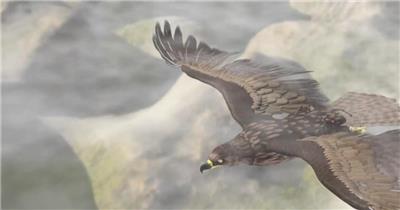 翱翔天空雄鹰空中英姿云层渲染大气宏图展现高清视频拍摄