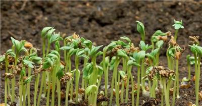 0947f76db923b2819cd5123be8c5aa4b