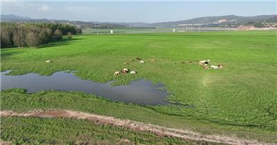 黄河湿地（源素材）DJI_0591