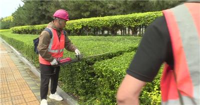 绿化带检修护理浇水