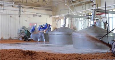 白酒酿造车间固态法酿酒酒糟