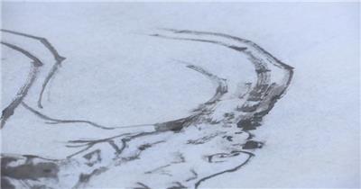 女书画家在家里用毛笔作画画画