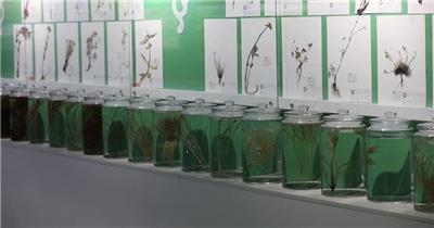 草原草业博物馆草籽展示