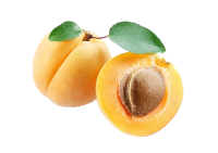 水果、坚果-杏