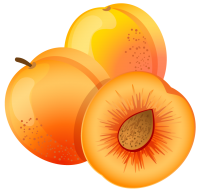 水果、坚果-杏