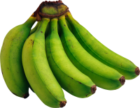 水果、坚果-绿色香蕉图片，免费图片