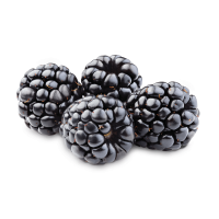 水果、坚果-黑莓