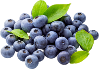 水果、坚果-蓝莓