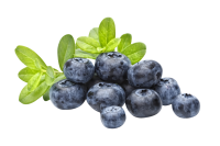 水果、坚果-蓝莓