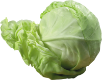 蔬菜-卷心菜