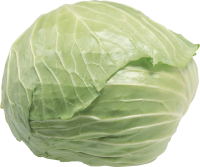 蔬菜-卷心菜