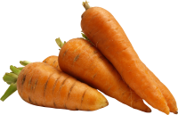 蔬菜-胡萝卜