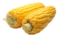 蔬菜-玉米