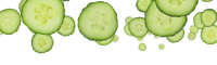 蔬菜-黄瓜
