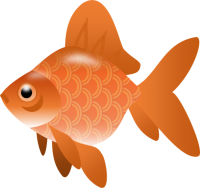 动物-金鱼