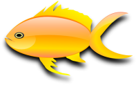 动物-金鱼