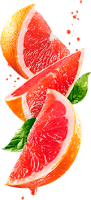 水果、坚果-葡萄柚