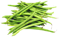 蔬菜-绿豆