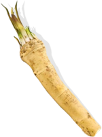 辣根