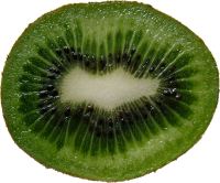 水果、坚果-绿切猕猴桃图