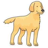 动物-拉布拉多猎犬