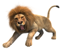 动物-狮子