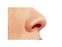 人-人的鼻子