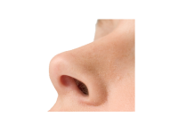 人-人的鼻子