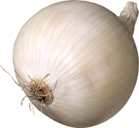 蔬菜-洋葱