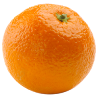 水果、坚果-橙色图片，免费下载