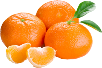 水果、坚果-橙子，橙子图片，免费下载