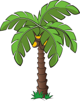 自然-棕榈树