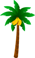 自然-棕榈树