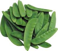 蔬菜-豌豆
