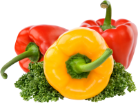 蔬菜-甜椒